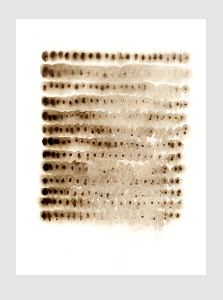 casazi_fire_paper_00