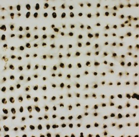 casazi_fire_paper_03