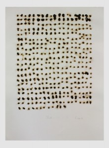casazi_fire_paper_04