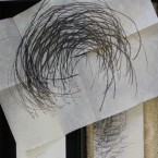 casazi_flock_002